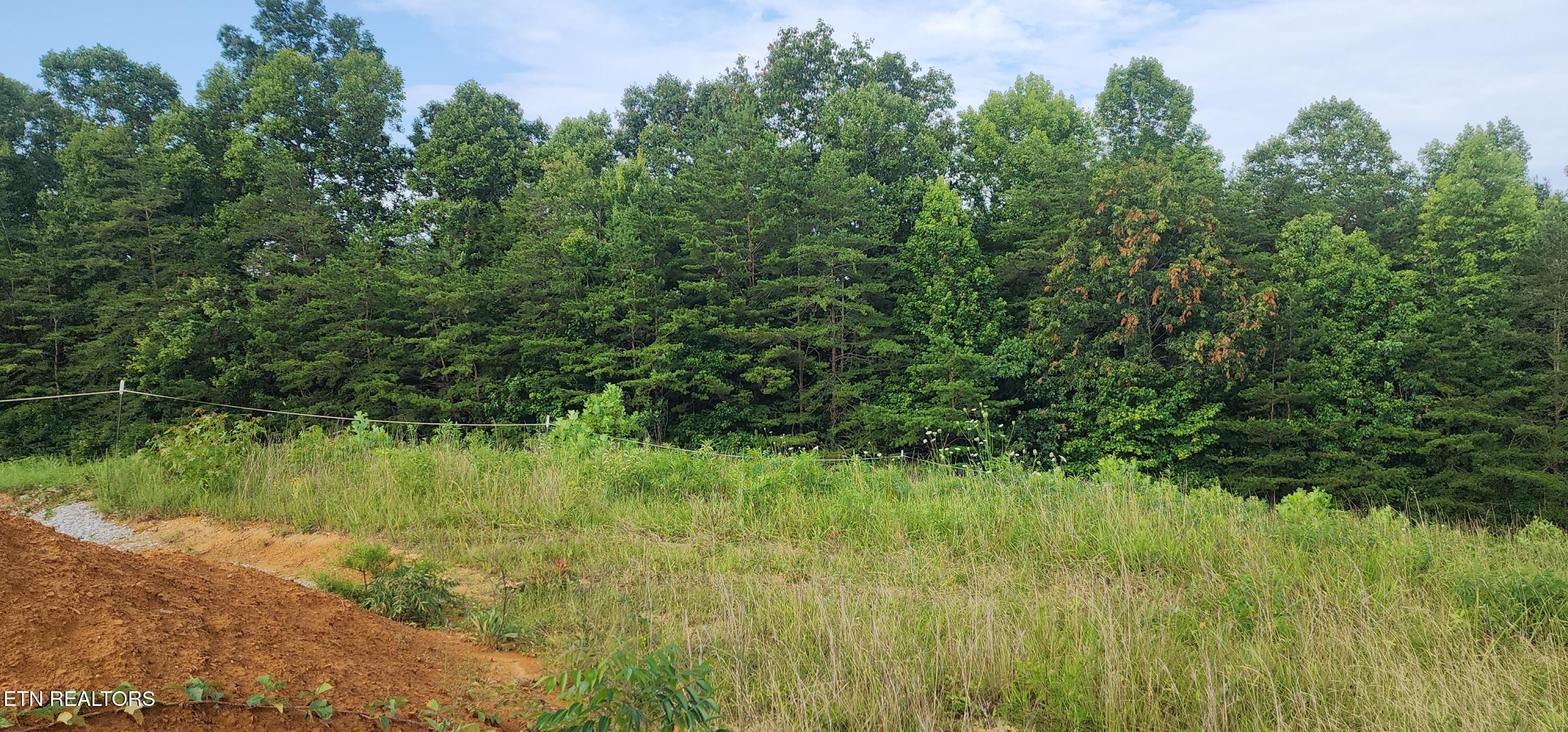 Fairview Road Huntsville, TN 37756 - Photo 12 of 18 20250712_180721