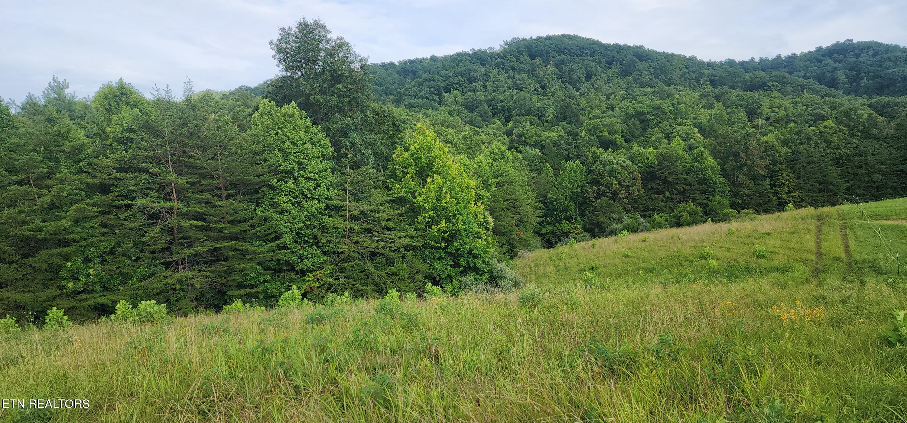 Fairview Road Huntsville, TN 37756 - Photo 15 of 18 20250712_180813