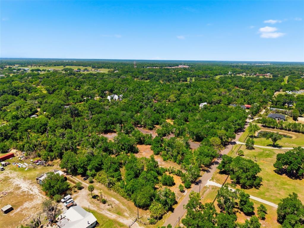 19084 Red Bird Lane, Unit LOT 4 Lithia, FL 33547 - Photo 18 of 18 an aerial view of residential houses with outdoor space and trees all around