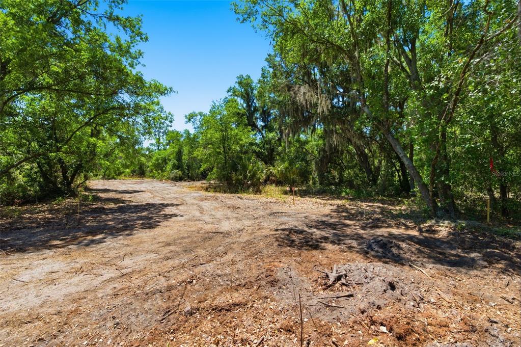 19084 Red Bird Lane, Unit LOT 4 Lithia, FL 33547 - Photo 5 of 18 a view of backyard with green space