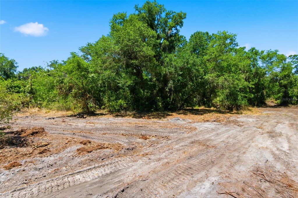 19084 Red Bird Lane, Unit LOT 4 Lithia, FL 33547 - Photo 6 of 18 a view of a backyard of a house
