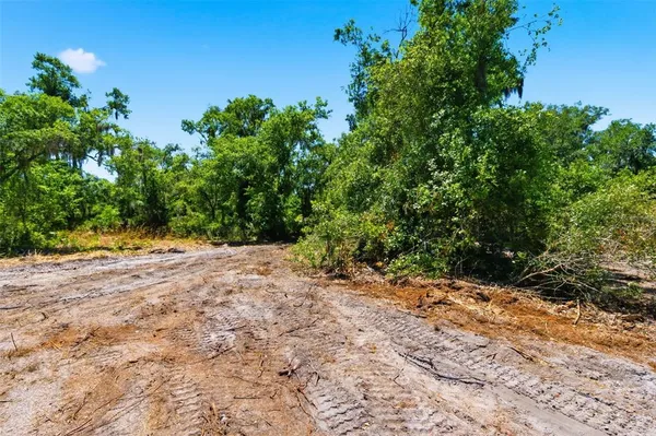 $249,000 | 19084 Red Bird Lane, Unit LOT 4, Lithia, FL 33547