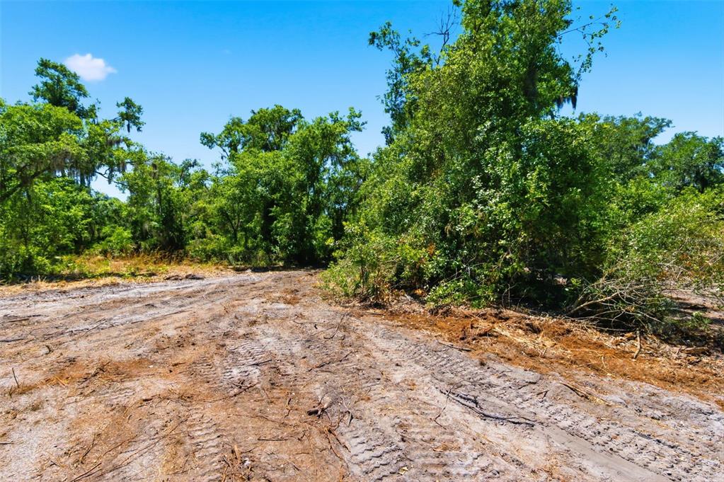 19084 Red Bird Lane, Unit LOT 4 Lithia, FL 33547 - Photo 8 of 18 a view of a yard with plants and trees
