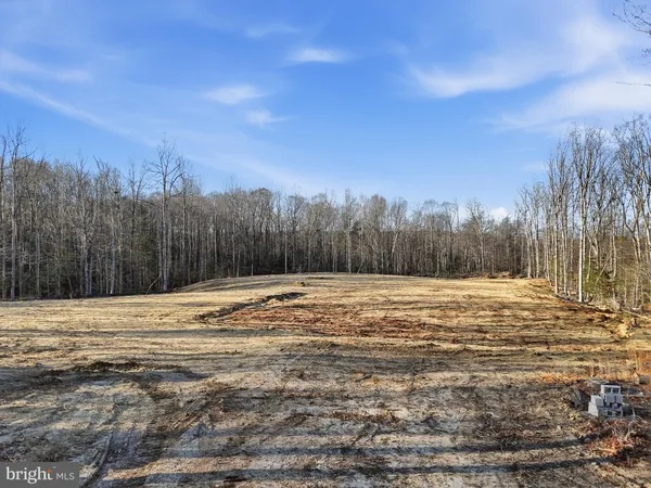 a view of a yard with trees