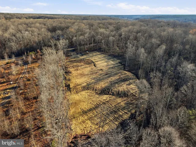 a view of a yard with an outdoor space