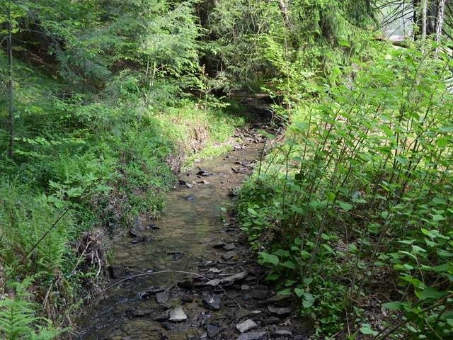 4095 Chapman Dam Road Clarendon, PA 16313 - Photo 17 of 27 Gallery Image 17