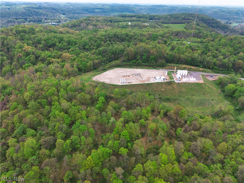 0 Bealls Ridge Wellsburg, WV 26070 - Photo 13 of 46