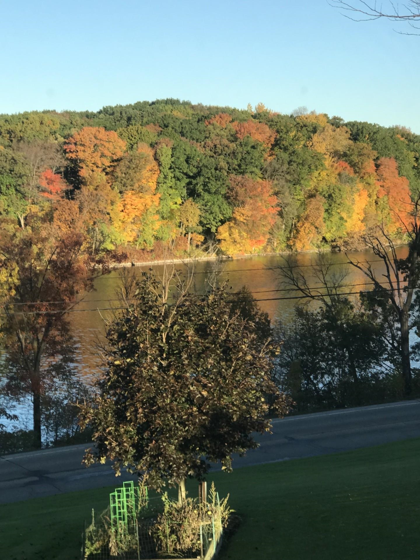 N4411 North Daley Road Hustisford, WI 53034 - Photo 6 of 51