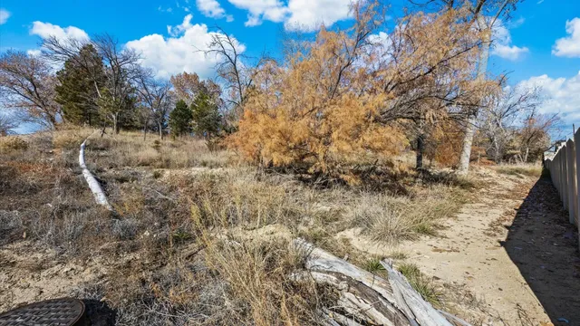 a view of a dry yard with trees