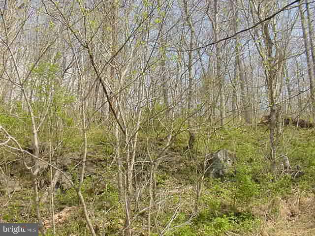 2465 Locke's Mill Road Berryville, VA 22611 - Photo 30 of 31 Rear