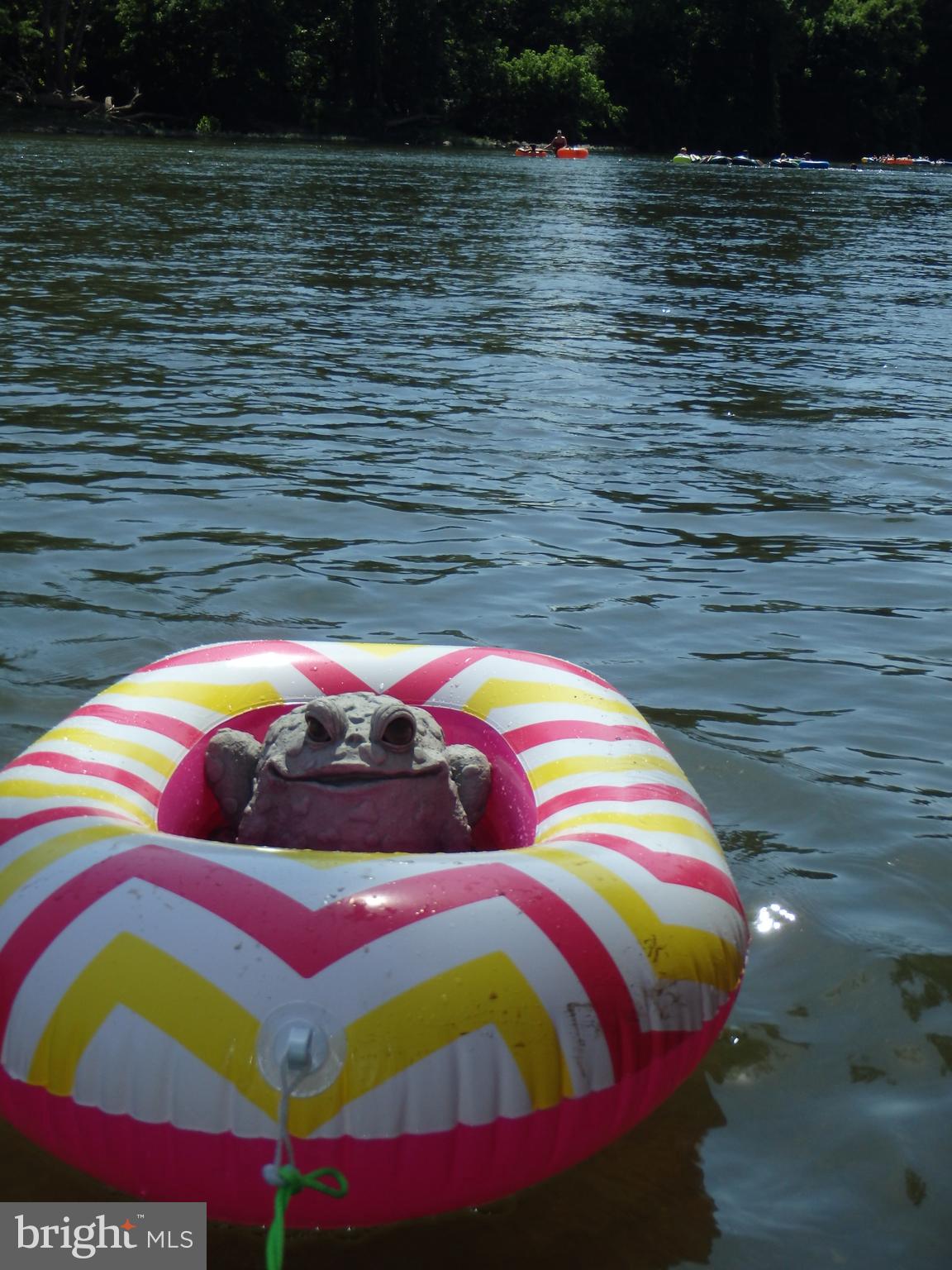 2465 Locke's Mill Road Berryville, VA 22611 - Photo 5 of 31 Fun!