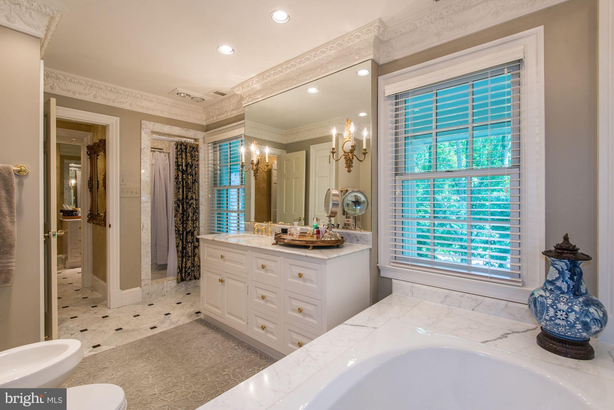 8459 Brook Road McLean, VA 22102 - Photo 22 of 30 Her Master Bath