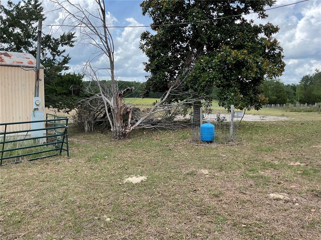 9750 Northeast 49th Street Bronson, FL 32621 - Photo 12 of 19