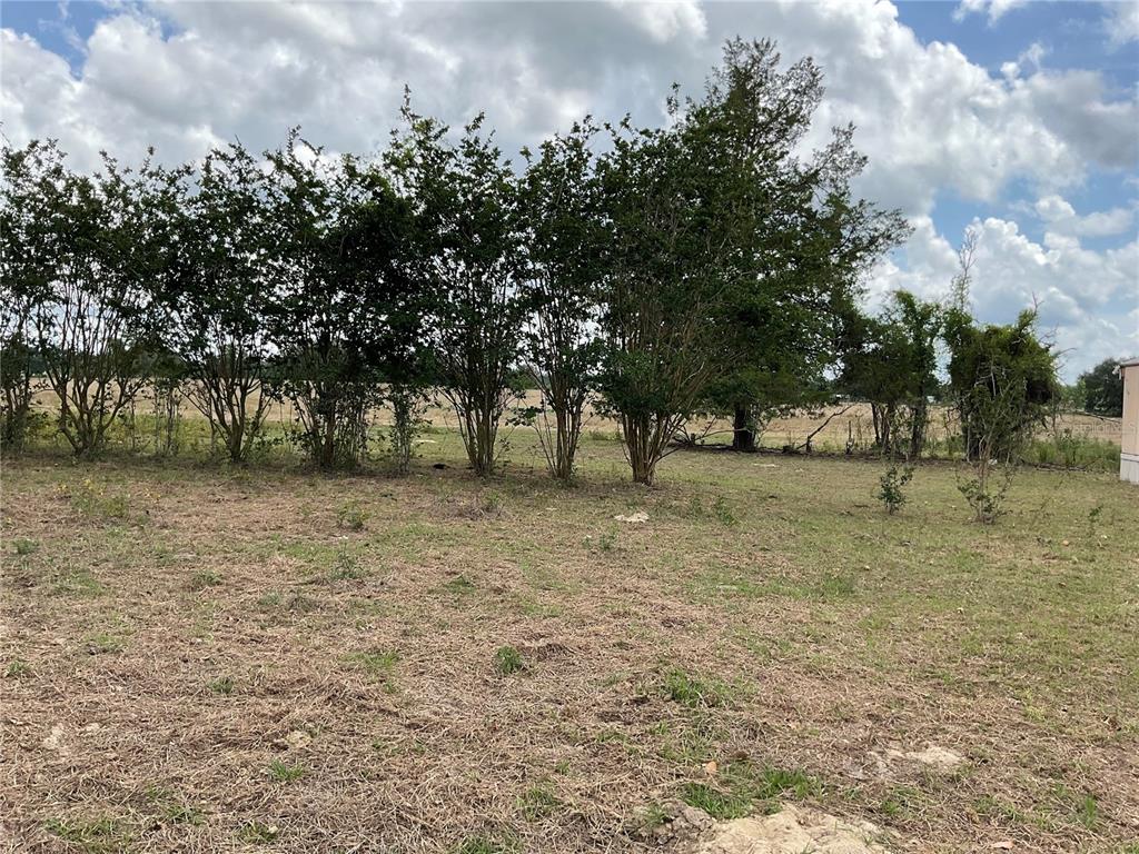 9750 Northeast 49th Street Bronson, FL 32621 - Photo 5 of 19