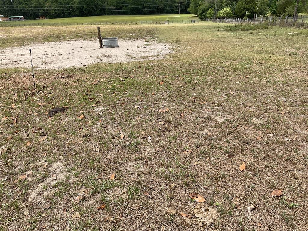 9750 Northeast 49th Street Bronson, FL 32621 - Photo 7 of 19