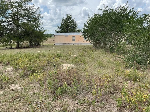 a view of a tree in front of a yard