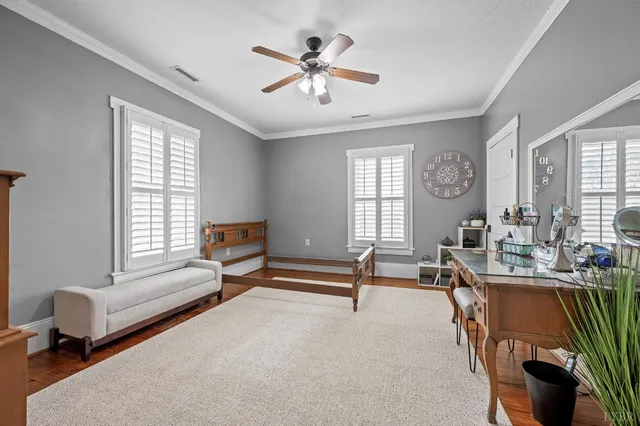 a view of a backyard with plants and large trees