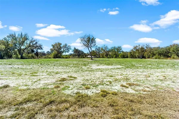 a view of a field with a trees in the background