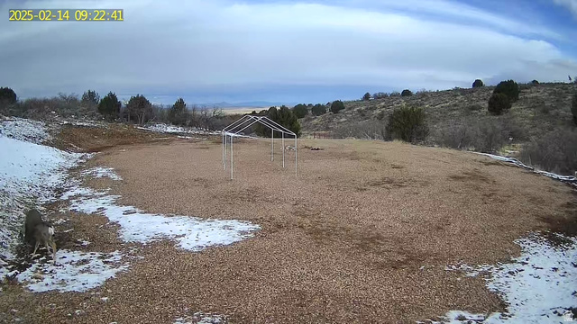 1100 South Deer Pasture Road Fillmore, UT 84631 - Photo 17 of 25 View of yard covered in snow