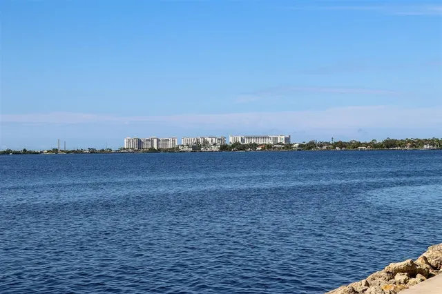 a view of a lake with a yard and large trees