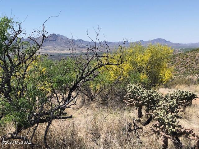 217 Vereda Cabrilla Lane, Unit 49 Rio Rico, AZ 85648 - Photo 6 of 21