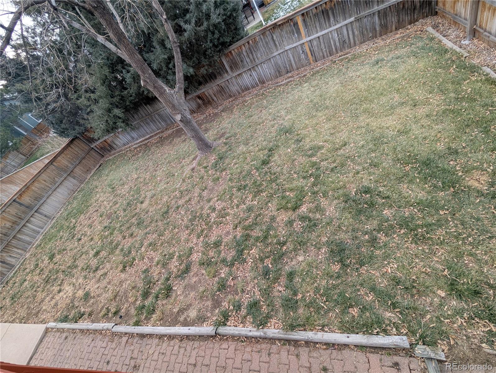444 Spring Grove Avenue Highlands Ranch, CO 80126 - Photo 18 of 21 a view of a yard with wooden fence