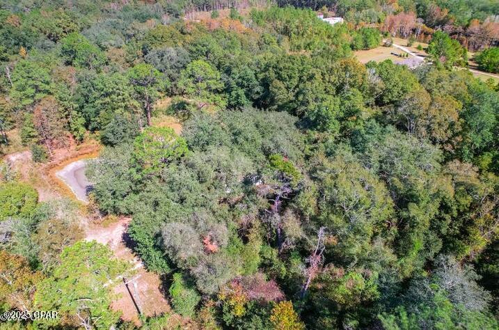 1873 Adolph Whitaker Road Bonifay, FL 32425 - Photo 6 of 20