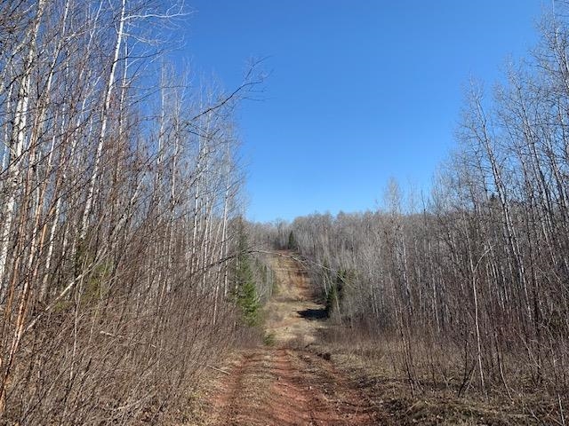 River Road Mellen, WI 54546 - Photo 1 of 1