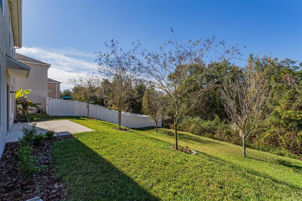 2470 Valhalla Drive Tavares, FL 32778 - Photo 24 of 26 a view of a backyard