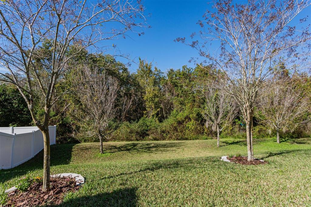 2470 Valhalla Drive Tavares, FL 32778 - Photo 26 of 26 a view of backyard with tree