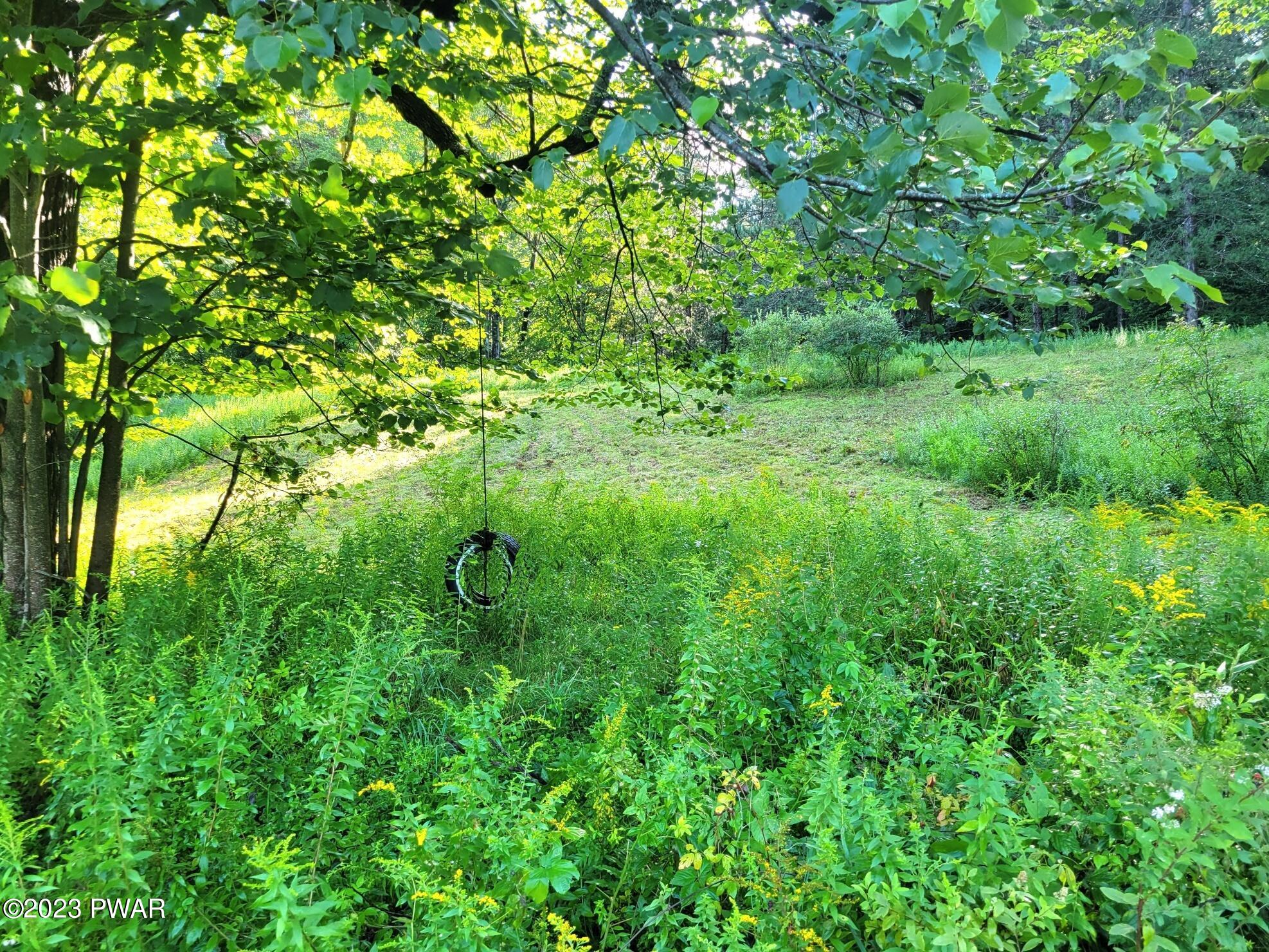 Miller Pond Road Pleasant Mount, PA 18453 - Photo 1 of 1