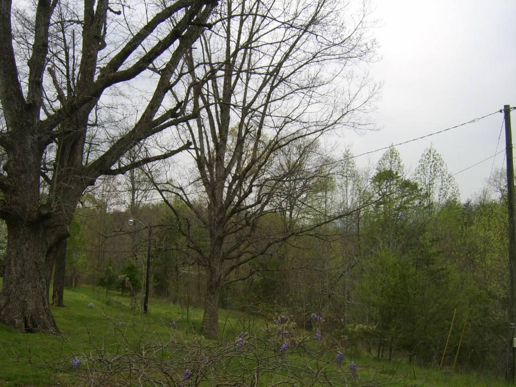 4501 Pitzer Road Roanoke, VA 24014 - Photo 11 of 13 Land
