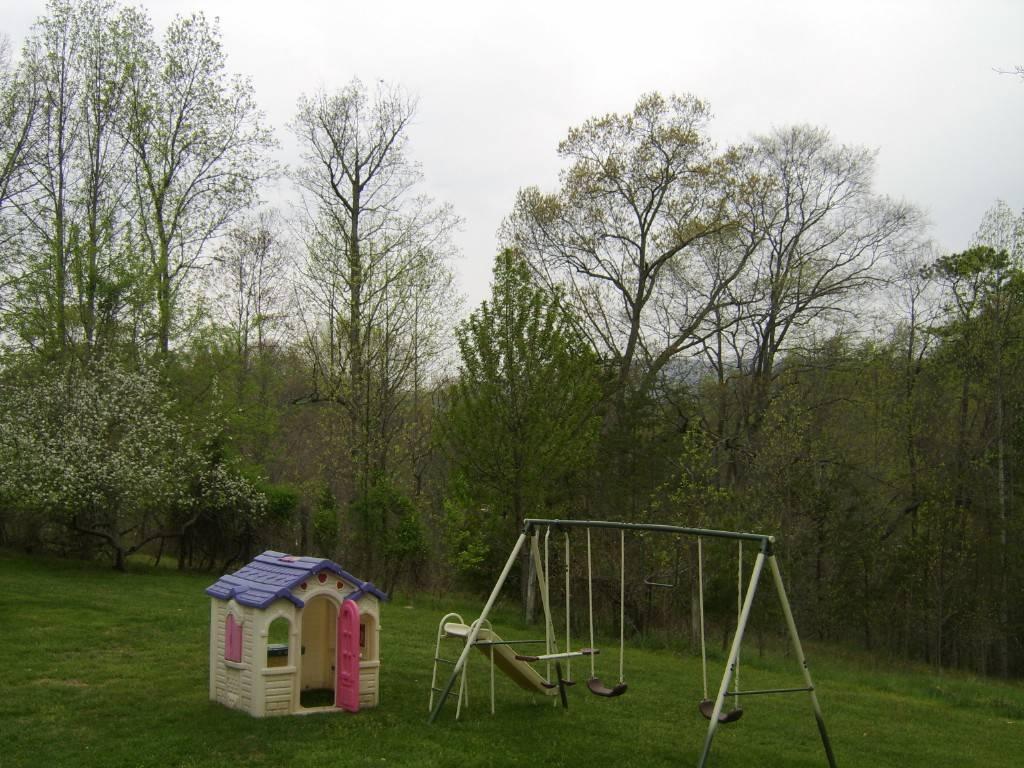 4501 Pitzer Road Roanoke, VA 24014 - Photo 10 of 13 Yard