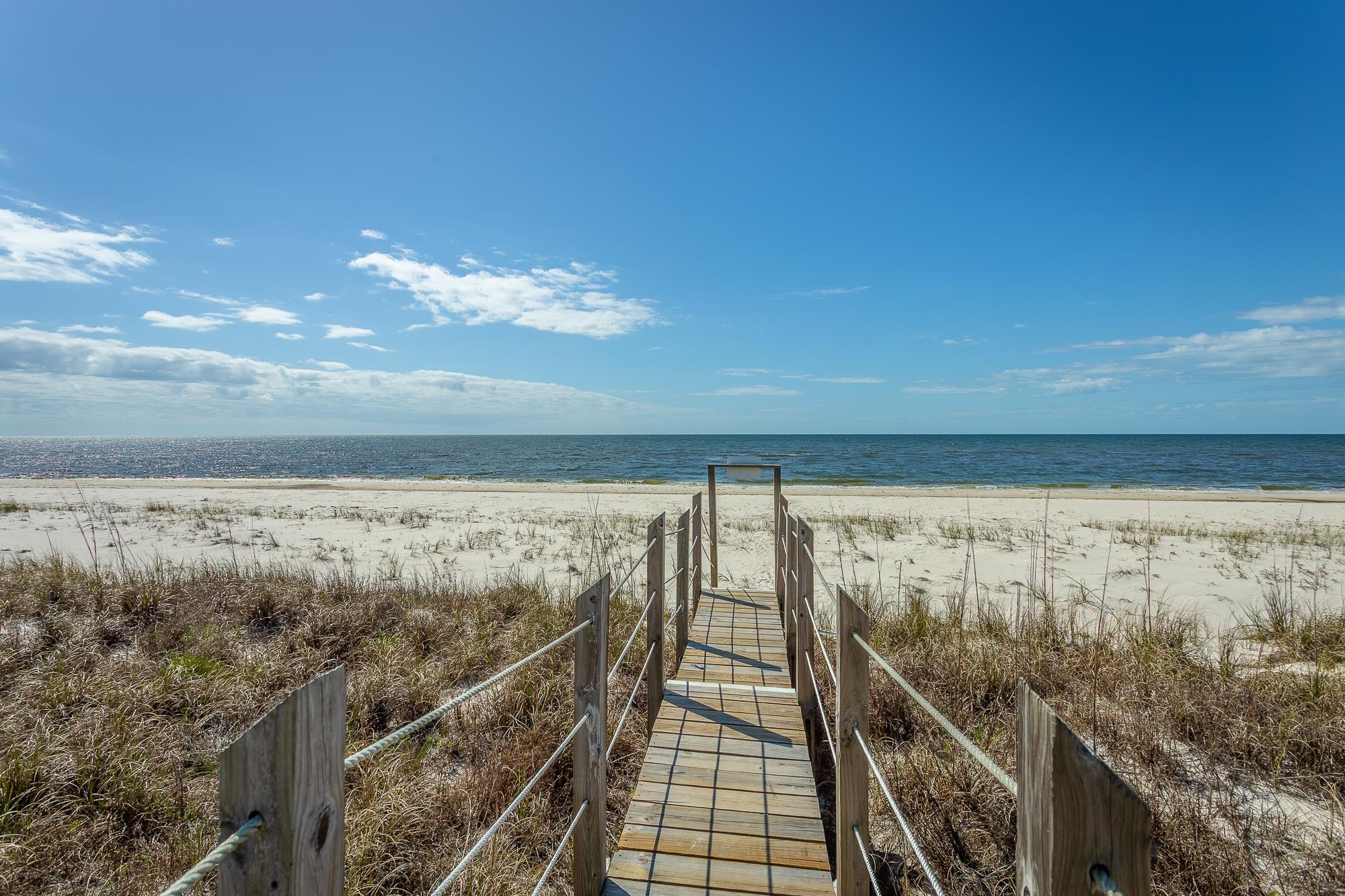 1437 Alligator Drive Alligator Point, FL 32346 - Photo 2 of 42