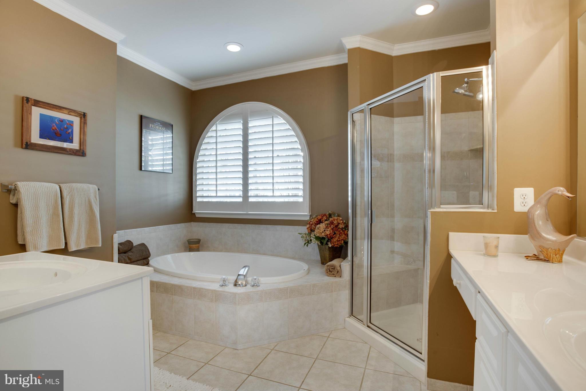 705 Runabout Loop, Unit 705 Solomons, MD 20688 - Photo 9 of 30 Bath (Master)