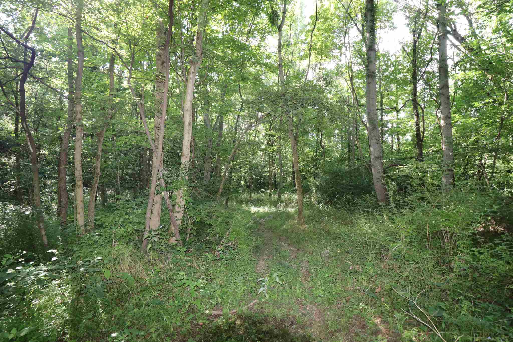 2960 North Thomas Road Bloomington, IN 47404 - Photo 33 of 36