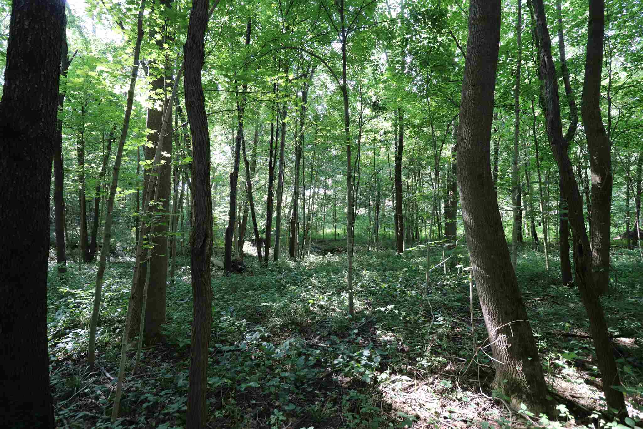 2960 North Thomas Road Bloomington, IN 47404 - Photo 35 of 36