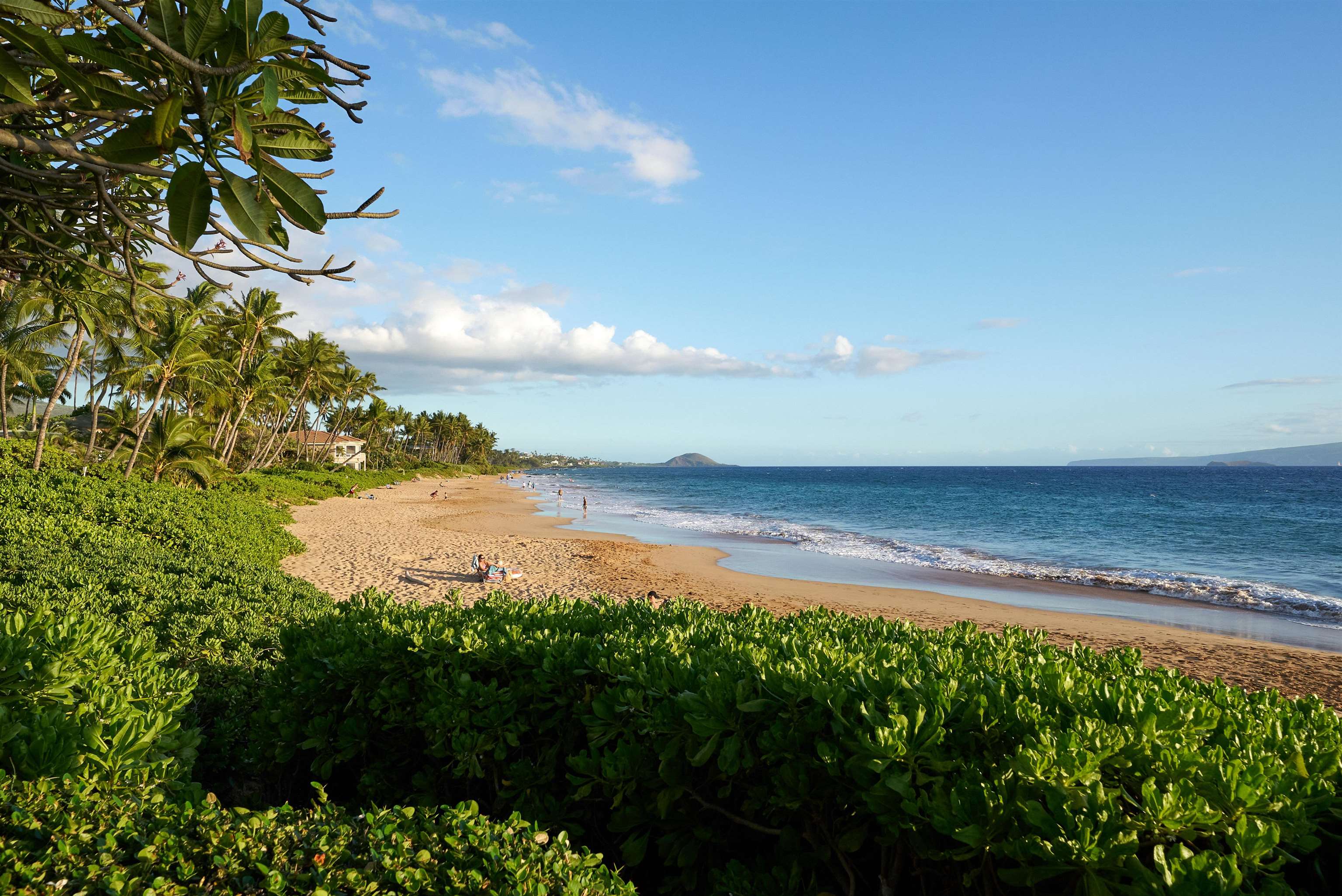 2994 South Kihei Road, Unit 203 Kihei, HI 96753 - Photo 23 of 28 a view of a lake from a yard