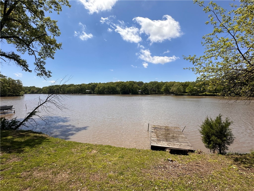 4 Presnell Point Pana, IL 62557 - Photo 4 of 11