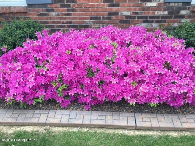 4510 Malcolm Road Louisville, KY 40216 - Photo 39 of 39 Had to show it one more time! Wow!