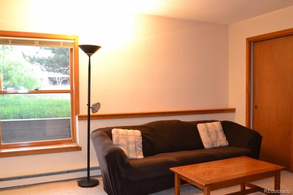 23676 Genesee Village Road Golden, CO 80401 - Photo 17 of 35 Gallery Image 17