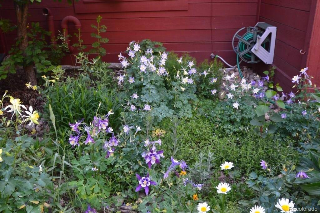 23676 Genesee Village Road Golden, CO 80401 - Photo 23 of 35 Gallery Image 23