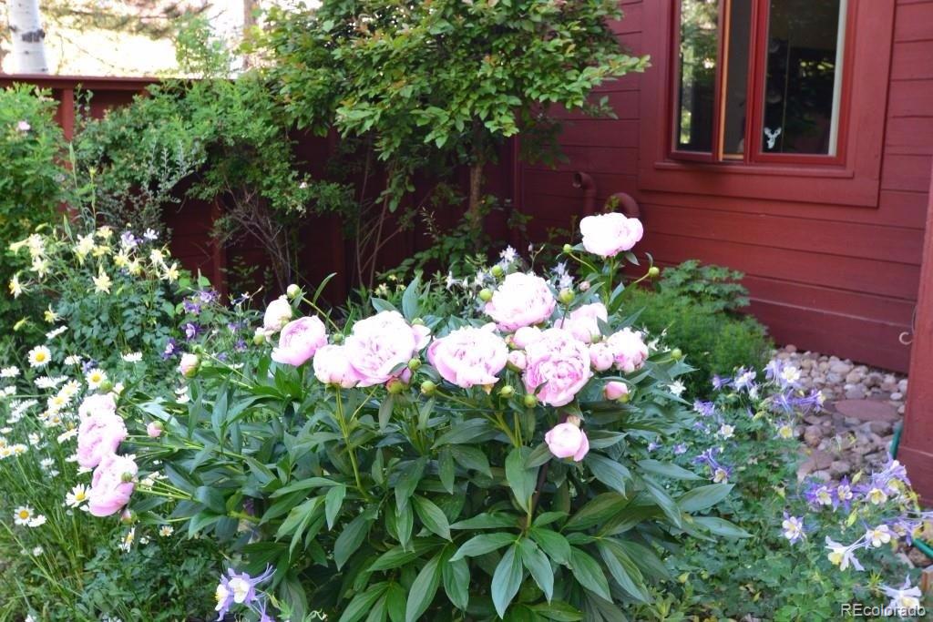23676 Genesee Village Road Golden, CO 80401 - Photo 25 of 35 Gallery Image 25