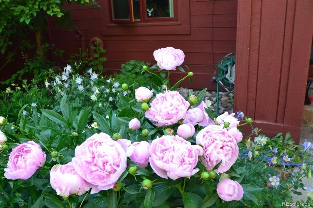 23676 Genesee Village Road Golden, CO 80401 - Photo 26 of 35 Gallery Image 26