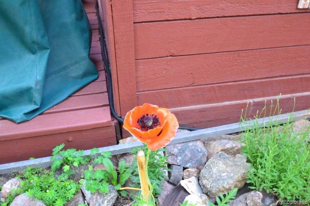 23676 Genesee Village Road Golden, CO 80401 - Photo 30 of 35 Gallery Image 30