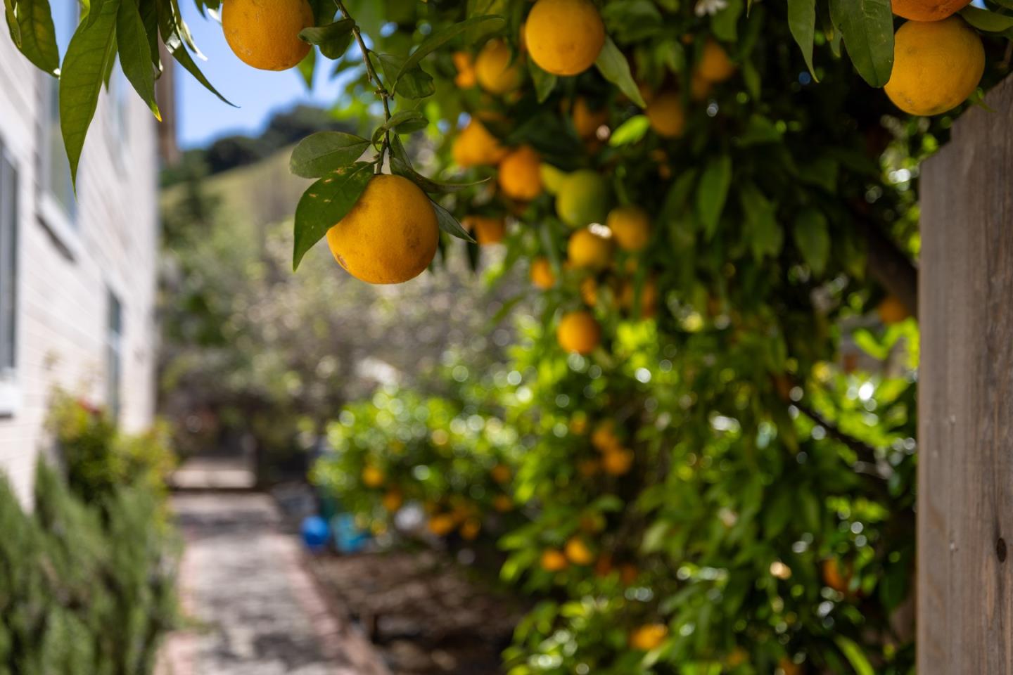 17554 Sugarmill Road Salinas, CA 93908 - Photo 35 of 47