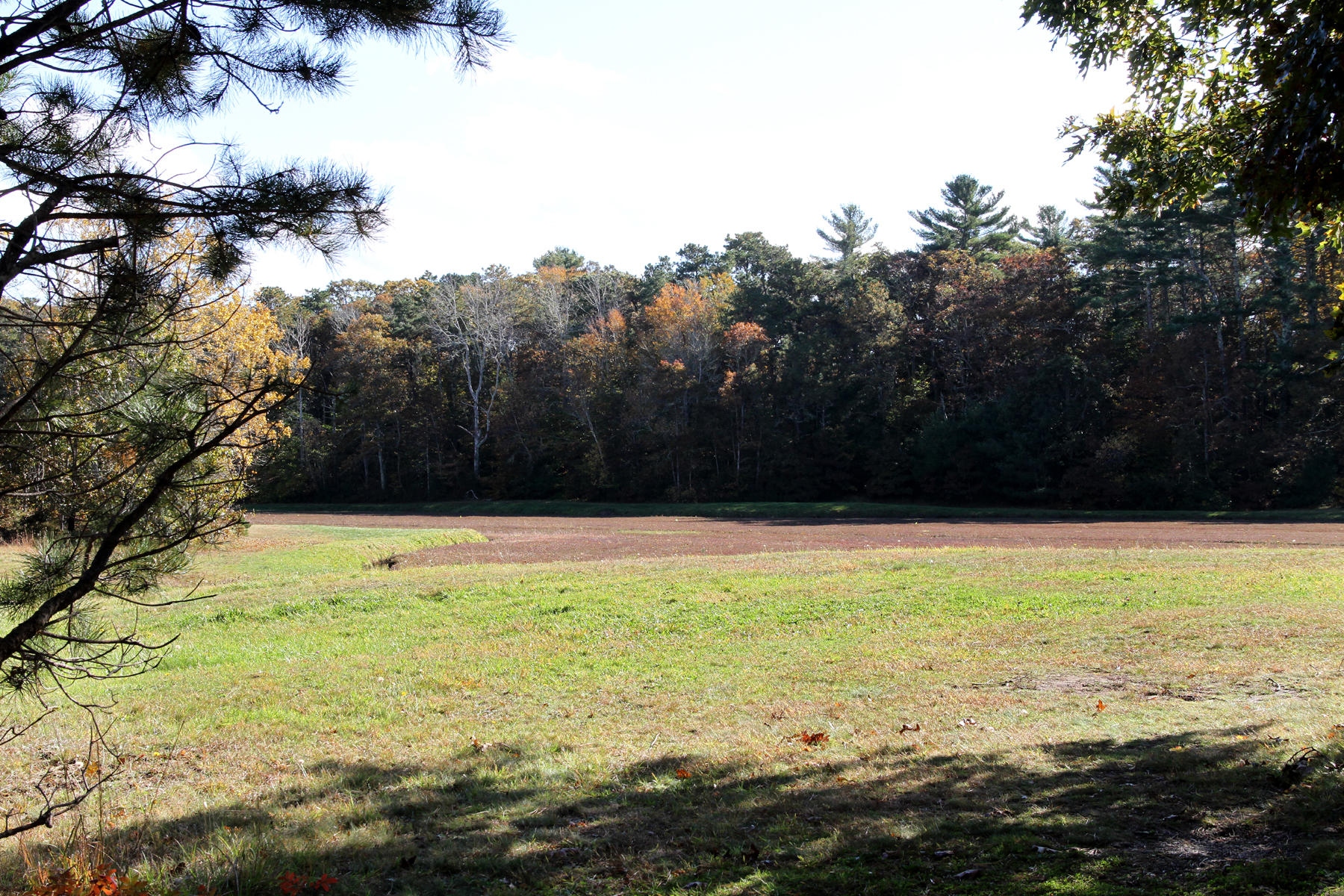 4 Cranberry Lane Mashpee, MA 02649 - Photo 11 of 16 IMG_6414