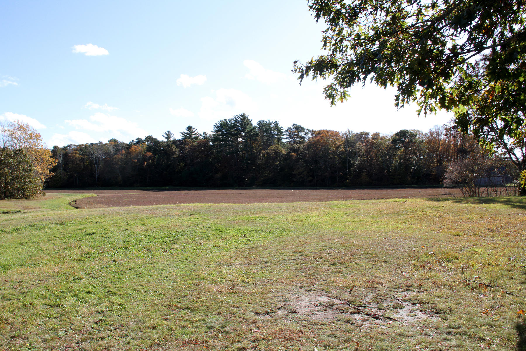 4 Cranberry Lane Mashpee, MA 02649 - Photo 12 of 16 IMG_6415
