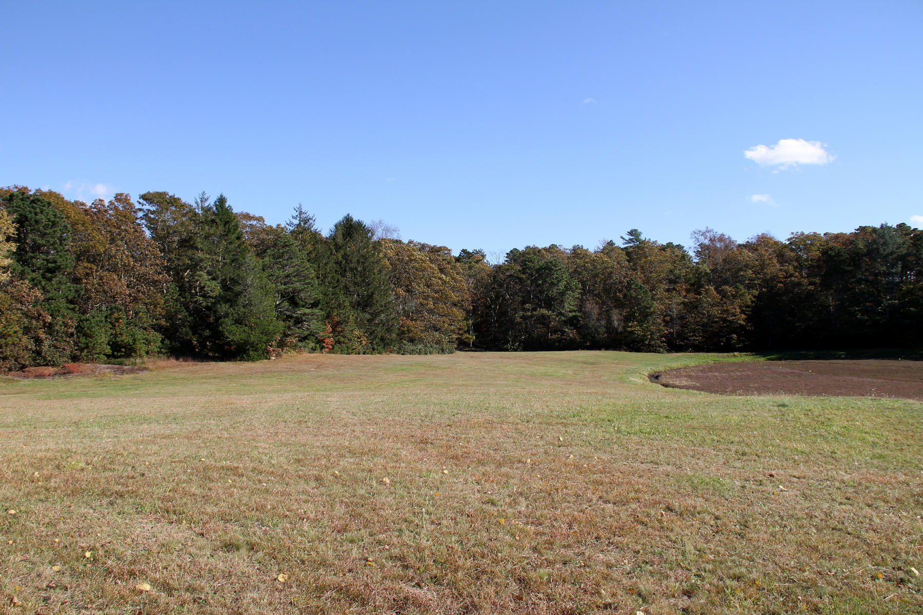 4 Cranberry Lane Mashpee, MA 02649 - Photo 13 of 16 IMG_6433