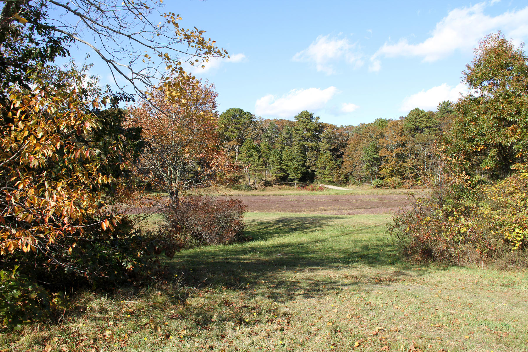 4 Cranberry Lane Mashpee, MA 02649 - Photo 14 of 16 IMG_6434